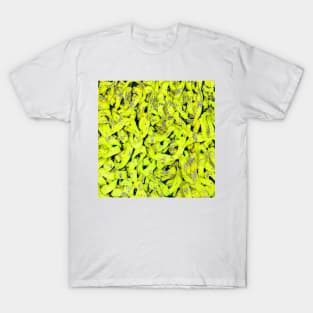 Yellow Ramen T-Shirt